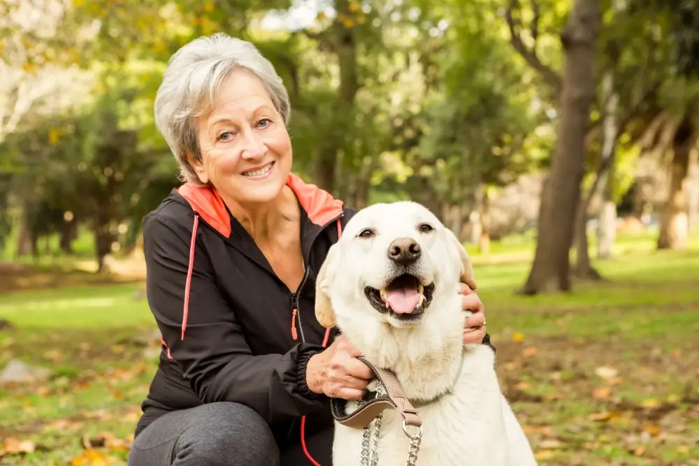 News & Resources - the benefits of pets